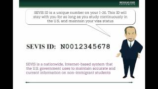 Understanding Your I 20 [upl. by Rahm843]