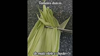 Tamales dulces de maiz elotes o choclos ali naturaleza NaturAliza tamalesdeelotesdulces [upl. by Ianej133]