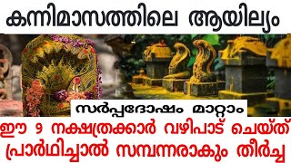 സര്‍പ്പദോഷം തീരാന്‍ ഈ ആയില്യത്തിന് ചെയ്യേണ്ട വഴിപാടുകള്‍jyothisham astrolgymalayalam [upl. by Warfourd]