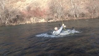 Fishing the Imnaha River in Oregon for Steelhead [upl. by Nilhtac]