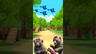 bandar  monkey  monkey video  bandar ka hamla  monkey attack  angry monky gusse wala bandar [upl. by Una]