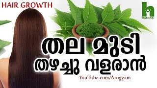 മുടി പെട്ടെന്ന് തഴച്ചു വളരാൻ ഈ ഇല  Latest malayalam health tips [upl. by Ydieh503]