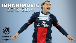 Zlatan Ibrahimovic  All Goals in 20132014 1st half  PSG [upl. by Budge976]