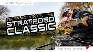 The Stratford Classic RIVER ACTION [upl. by Acire]