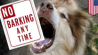 Animals Oregon Court orders dog owners to debark their dogs  TomoNews [upl. by Bennion]