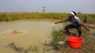 Fishing Video  Traditional boys prefer to admit fishing in small canals  Best hook fishing [upl. by Leonora]