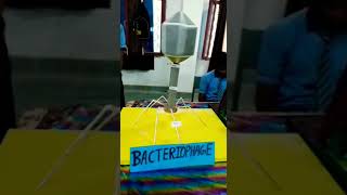 Science 3d working model of biology bacteriophagevirus shorts [upl. by Anoek198]