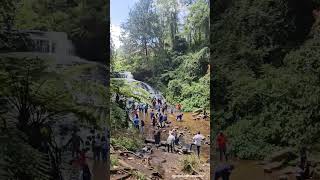 Road Trip Episode  28 Vattakanal Falls Kodaikanal roadtrips shorts travel kodaikanal [upl. by Ordnagela]