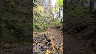 Cabin Creek Falls Starvation Creek State Park Oregon [upl. by Valora]