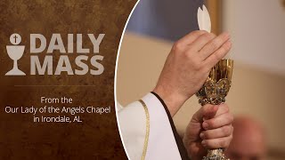 Catholic Daily Mass  Daily TV Mass  October 29 2024 [upl. by Anikat271]