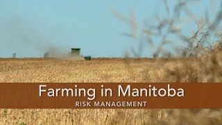 Farming in Manitoba [upl. by Gnouv400]