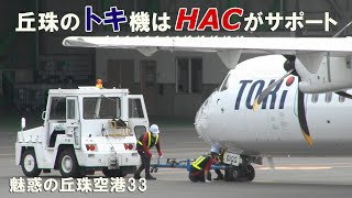 HACがあるから丘珠路線から慣らしてスタートだろう？★魅惑の丘珠空港33 [upl. by Anelac]