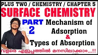 Mechanism Of Adsorption  Types Of Adsorption 2 Chemistry Chapter 5 Surface Chemistry in malayalam [upl. by Assen737]