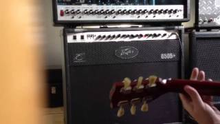 Peavey 6505 combo highgain tubes [upl. by Reginnej482]