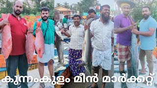 വലിയ മീനുകളുടെ വമ്പൻ മാർക്കറ്റ്  Kunnamkulam fish market  FishFish curryFish fry Fish biriyani [upl. by Harhay]