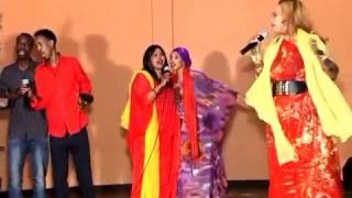 Fartun birimo somaliyey ma nabad baa 2013 HD [upl. by Ykcir]