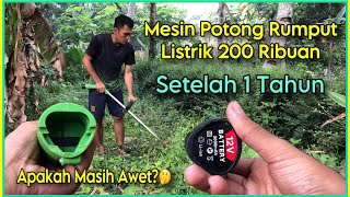 Review Mesin Potong Rumput Baterai 12V Setelah 1 Tahun Pemakaian  Harga 200 Ribuan [upl. by Alodie]