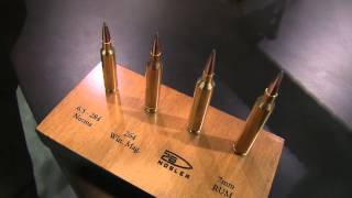 Introducing the 26 Nosler Ammo [upl. by Sordnaxela554]