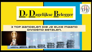 3 top aandelen die je maandelijks 100 dividend betalen 29102024 [upl. by Merline118]