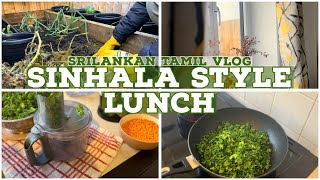 Sinhala Style Lunch  Ambul Theeyal  Srilankan Tamil Vlog [upl. by Midan]