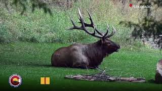 Epic mountain moon and a rutting elk Our Colorado through your photos [upl. by Snyder]