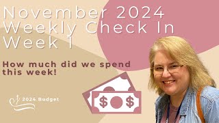 November 2024  Weekly Check In 1  Paying Back the Credit Card 🤑 [upl. by Llerreg]