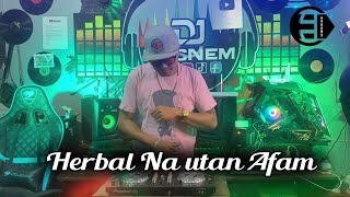 Viral Tiktok  Herbal na Utan Afam Version  Budots Remix  Dj Ericnem [upl. by Josephson]