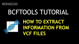 BCFTOOLS Tutorial  How I Extract information from a vcf file [upl. by Alroi]