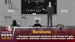 Barsiisota Fichee irraa kauun gara Aanaa Dharraa imalaa turan keessaa barsiisaa Ayyaanaa Amanuu [upl. by French509]