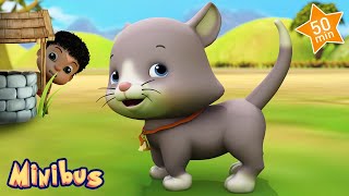 Ding Dong Bell  The Baby Cat Song  More Nursery Rhymes amp Kids Songs  Minibus [upl. by Bolton804]