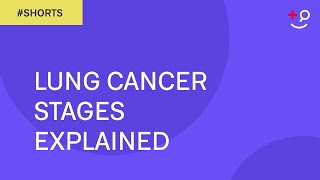 Lung Cancer Stages Explained Shorts [upl. by Galina]