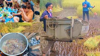 Bumper harvest for highlanders in Vietnam Harvesting rice with family [upl. by Attelrahs]