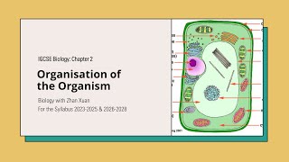 IGCSE Biology  Chapter 2  Organisation of the Organism [upl. by Ilera481]