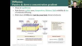 Physiology Chapter 3 membranes [upl. by Gesner]