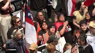 Waitangi Tribunal hosts wānanga amid Treaty Bill controversy [upl. by Vanessa111]