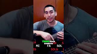 NOTAS EN LA GUITARRA  Como aprender TODAS LAS NOTAS en pocos minutos SIN CONOCIMIENTOS PREVIOS [upl. by Aneerol]