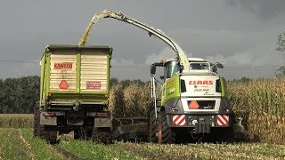 Shredlage mais hakselen met Claas Jaguar 940 Dynamic Power amp 3 New Hollands met Kaweco Radium 2017 [upl. by Chapman]