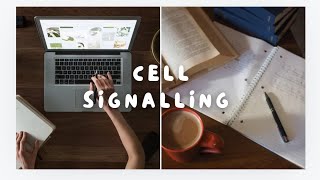 Cell Signalling Key Pathways Mechanisms and function study notes [upl. by Eriam]