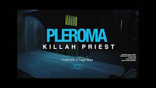 Killah Priest  Pleroma Official Music Video [upl. by Pren]