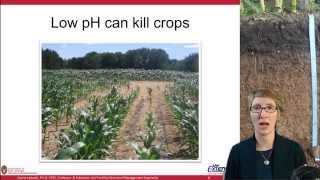 Soil Acidity and Liming Ag Nutrient Management [upl. by Asilrak727]