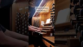 Farandole Bizet Version by Scottbrothersduo  Domorgel Fulda [upl. by Landan]