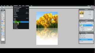 Pixlr Tutorial Edit  How to add Image Reflection with Masking [upl. by Abagail829]