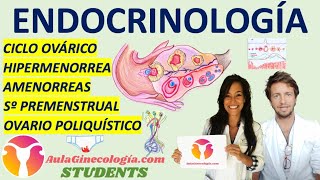 ENDOCRINOLOGÍA AulaGinecología  STUDENTS CICLO OVÁRICO OVARIO POLIQUÍSTICO AMENORREAS [upl. by Melak747]