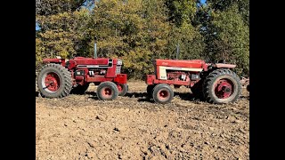 Some plowing action with a 1066 black stripe and a 1466 international [upl. by Assital]