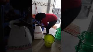 Fumigation services at Kabete Gardens [upl. by Adar175]