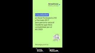 🚨Formulario 210 y Formato 2517 para persona natural residente que lleva contabilidad por el AG 2023 [upl. by Gregrory588]