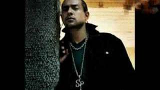 Sean Paul Hold My Hand 2008 Album Song NEW SONG [upl. by Nnylimaj]