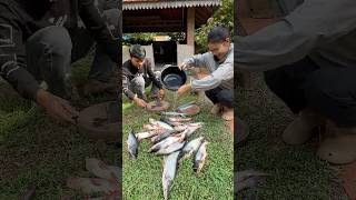 Brother Help Sister Cook Fishes PerfectCooking CookFish HowToCookFish cookfishrecipe [upl. by Sherwin83]