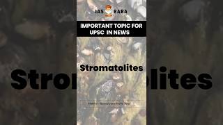 IMPORTANT TOPIC IN NEWS UPSC  Stromatolites Syllabus Prelims – Science and Technology  UPSC2025 [upl. by Nomi]