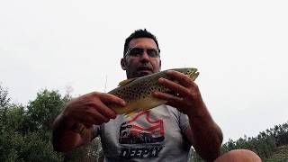 Kayak Fishing Trout in Mondego River [upl. by Kesley515]